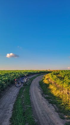 countryside summertime landscapes. field. Ukraine. Україна сільські літні пейзажі. поле. Trending Pins, Landscape Photography Nature, Landscape Pictures, Beautiful Scenery Nature, Beautiful Places To Visit, Scenery Wallpaper, Nature Wallpaper