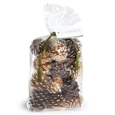 a bag filled with lots of pine cones