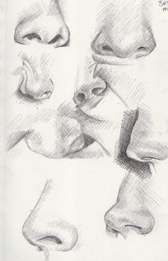 a pencil drawing of different angles of the nose