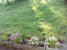 some flowers are growing out of the concrete blocks