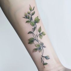 Vine Tattoo Art Collection Green Vine Tattoos For Women, Nature Shoulder Cap Tattoo, Tattooed Plus Size Women, Wrap Around Tattoo, Shoulder Cap Tattoo, Floral Tattoo Sleeve, Cute Little Tattoos, Feminine Tattoos