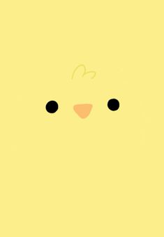 the face of a yellow bird with black eyes