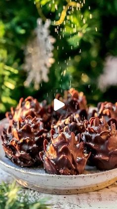 chocolate cupcakes on a plate with sprinkles coming out of them