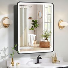 a bathroom with a sink, mirror and potted plant