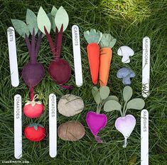 several vegetables are laid out on the grass with their names written in white letters,