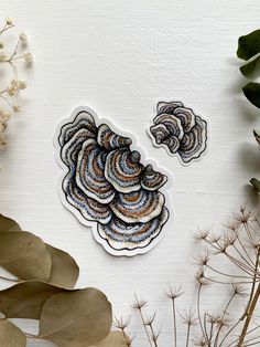 two stickers with different designs on them next to some plants and dried flowers in front of a white wall