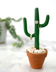 a small green cactus with two wedding rings on it