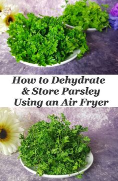 how to dehydraate and store parsley using an air fryer