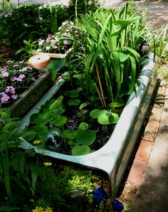 a garden filled with lots of green plants