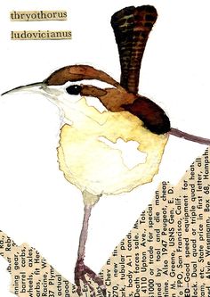 an image of a bird that is on top of a piece of paper with words all over it