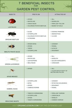 an info sheet describing the types and uses of garden pests