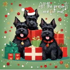 two black dogs sitting next to each other with presents in front of them and the words all the presents are for christmas