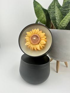 a vase with a sunflower in it next to a potted plant