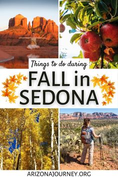 things to do during fall in sedona with text overlay that reads things to do during fall in sedona