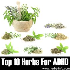 Herbs Health & Happiness 10 Herbs For ADHD - Herbs Health & Happiness Menopausal Herbs, Herbs For Allergies, Reishi Mushroom, Allergy Symptoms, Alternative Treatments, Hormonal Changes, Allergic Reaction, Passion Flower, Natural Treatments