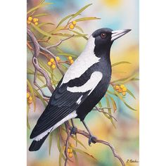 a painting of a black and white bird sitting on a tree branch with yellow berries