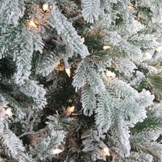 the branches of a christmas tree are covered with snow and lit up with white lights