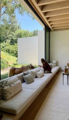 a woman sitting on a couch in front of a window looking at a horse outside