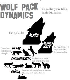 the wolf pack dynamics app on an iphone