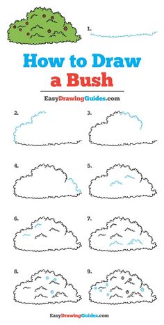 how to draw a bush for kids with easy step by step instructions and printable pictures