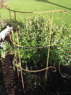 an iron plant stand in the middle of a garden