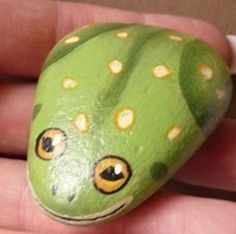 a close up of a person holding a rock with a frog on it's face