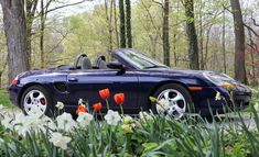 a blue sports car parked in front of some trees with flowers on the ground and grass around it