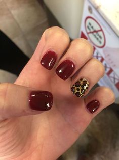 Leopard Accent Nail Fall, Maroon Cheetah Nails, Fall Leopard Nail Designs, Fall Nails With Accent Nail, Fall Nail Designs Short Square, Cheetah Accent Nails, Fall Manicure Colors, Leopard Fall Nails, Leopard Print Nails Fall