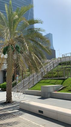 a palm tree sitting in front of a building with stairs and grass on the ground