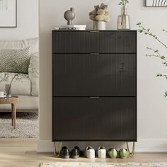 a living room scene with focus on the shoe cabinet and rug in the foreground