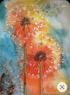 two dandelions are shown in this artistic painting