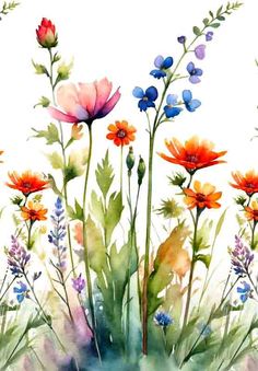 watercolor painting of colorful flowers and grass