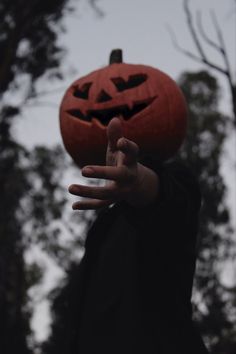 Halloween Photo Shoot, Netflix Horror, Horror Series, Halloween Photo, New Netflix, Halloween Photos, Jack O, Jack O Lantern, Halloween Costumes