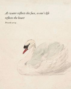 a drawing of a white swan with a bible verse on it's back side