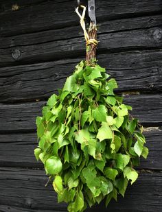 a bunch of green leaves hanging from a hook