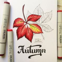 three markers are sitting next to an autumn coloring book