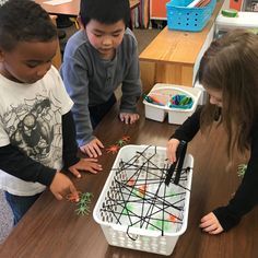 three young children are playing with their spider webs in a classroom setting on the table