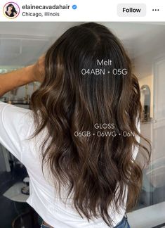 6wg Shades Eq, Dimensional Brunette Shades Eq Formula, Shades Eq Brown Formulas