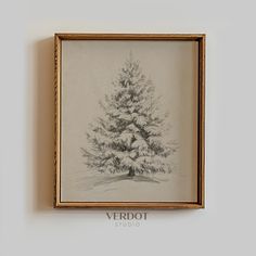 a black and white drawing of a pine tree in a frame hanging on the wall