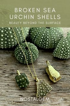 the cover of broken sea urchin shells by nostalgem, featuring two pendants