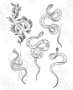 snake tattoo designs for men and women on the back of their chest, shoulder or arm