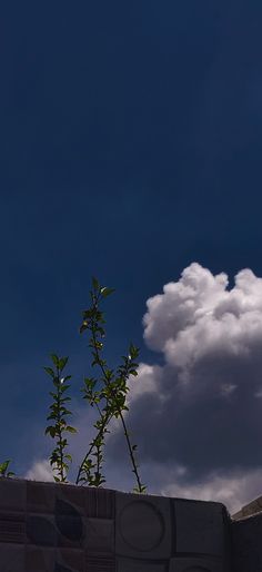 a tall clock tower towering over a city under a blue sky with white fluffy clouds