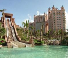 the water slide is in front of some buildings and palm trees on the other side