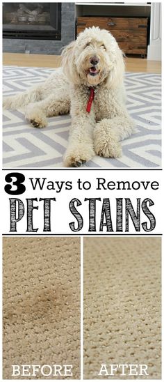 three ways to remove pet stains from carpet