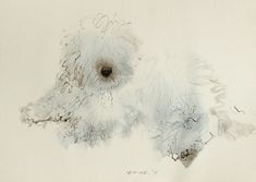 a drawing of a white dog's head