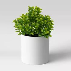 a potted plant with green leaves in it