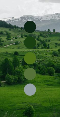 a green field with trees and hills in the background, surrounded by white circles that appear to be floating