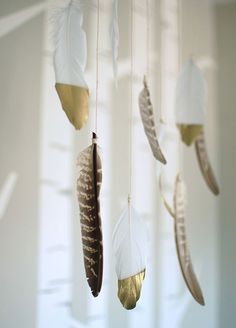 a group of feathers hanging from strings in front of a white wall with windows behind them