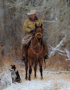 a man riding on the back of a brown horse next to a black and white dog