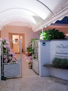 the entrance to a pet hotel with pink flowers in pots and plants growing on the wall